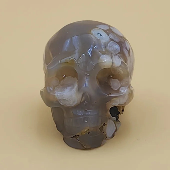 Flower cheapest Agate skull