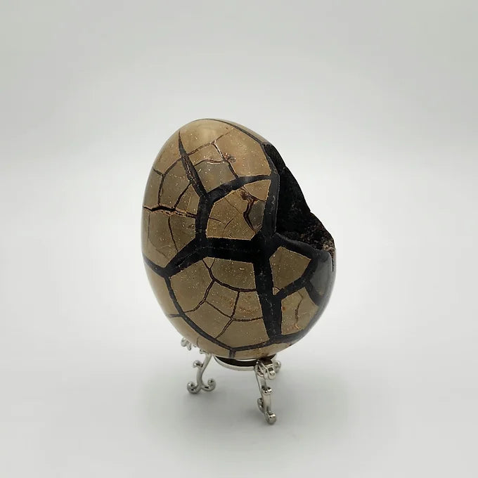 Septarian Egg with Rare Black Druzy