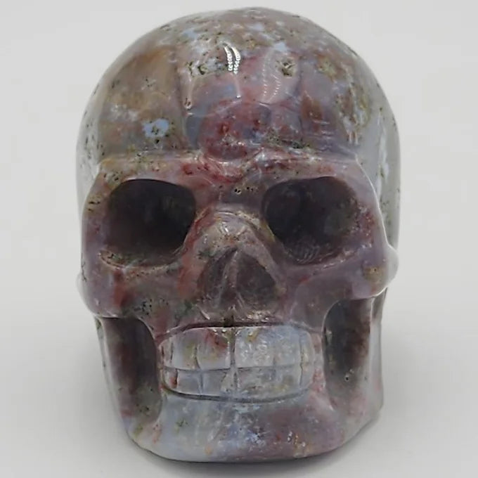 Sea Jasper Skull