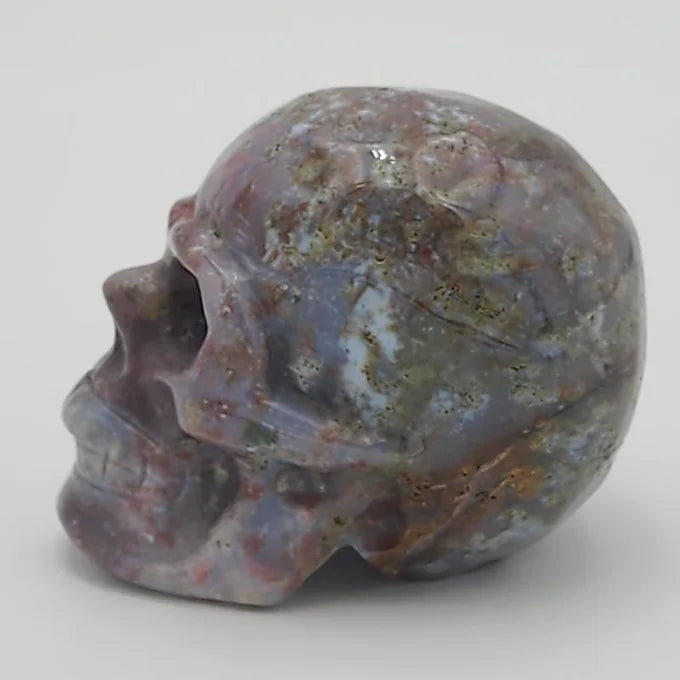 Sea Jasper Skull