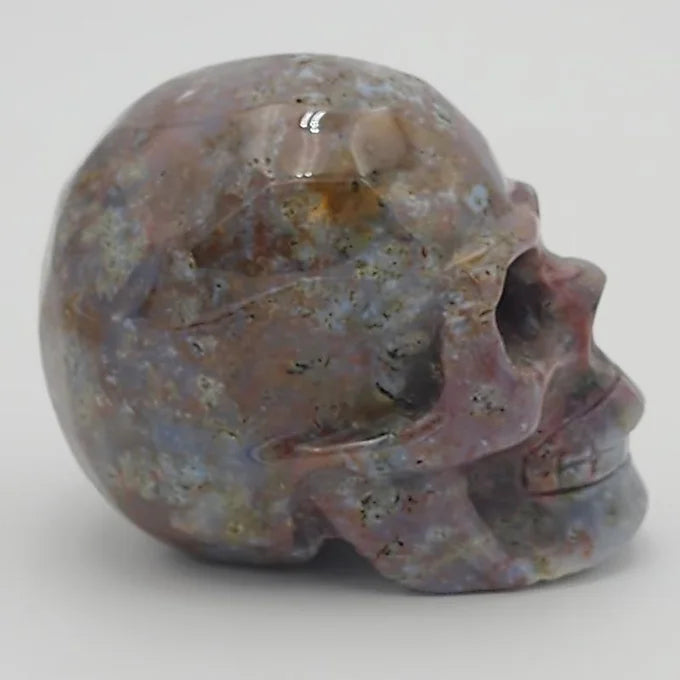 Sea Jasper Skull