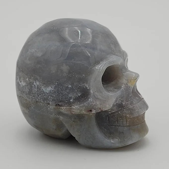 Sea Jasper Skull