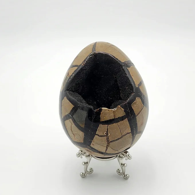 Septarian Egg with Rare Black Druzy